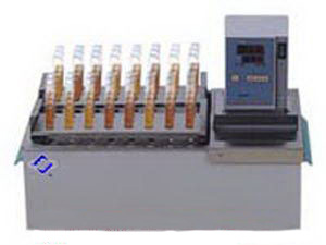 ����ѭ����