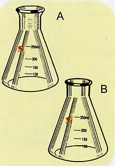 ������ƿ