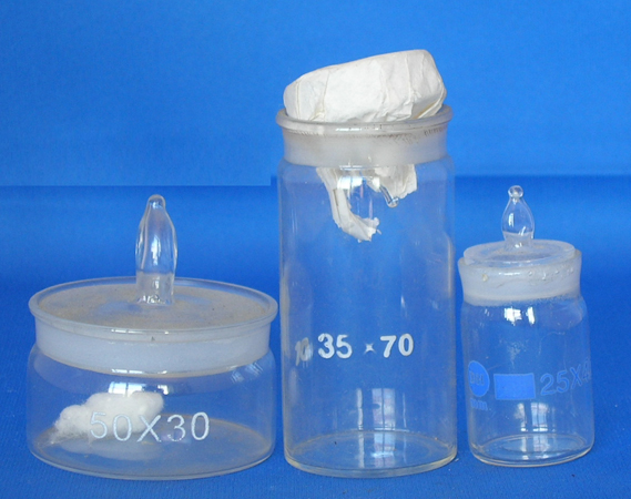 ���ͳ���ƿ