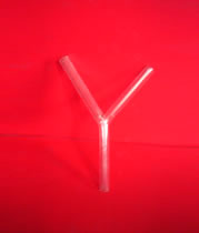 Y�����ӹ�